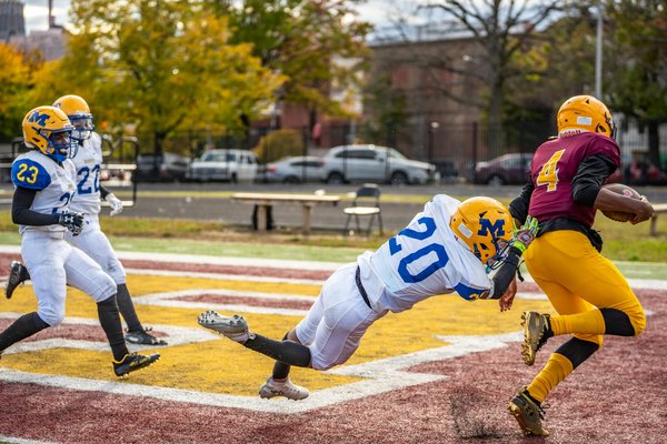 La Guida Completa per Coltivare Piante Aromatiche in Casa con Luce Artificiale: Tutti i Segreti!