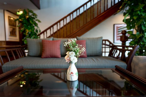 Esplora la Squisitezza: Cheesecake al Cioccolato Senza Cottura con Base di Biscotti al Cacao